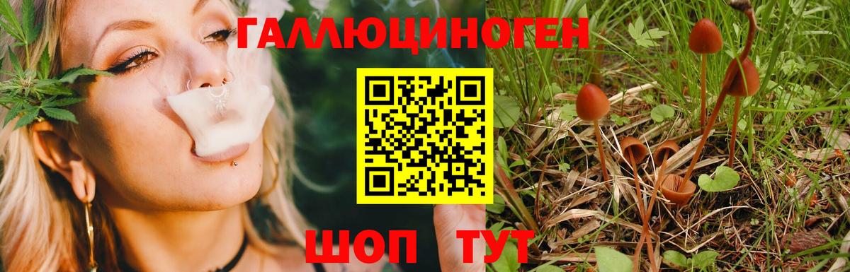Псилоцибиновые грибы мицелий Великий Новгород