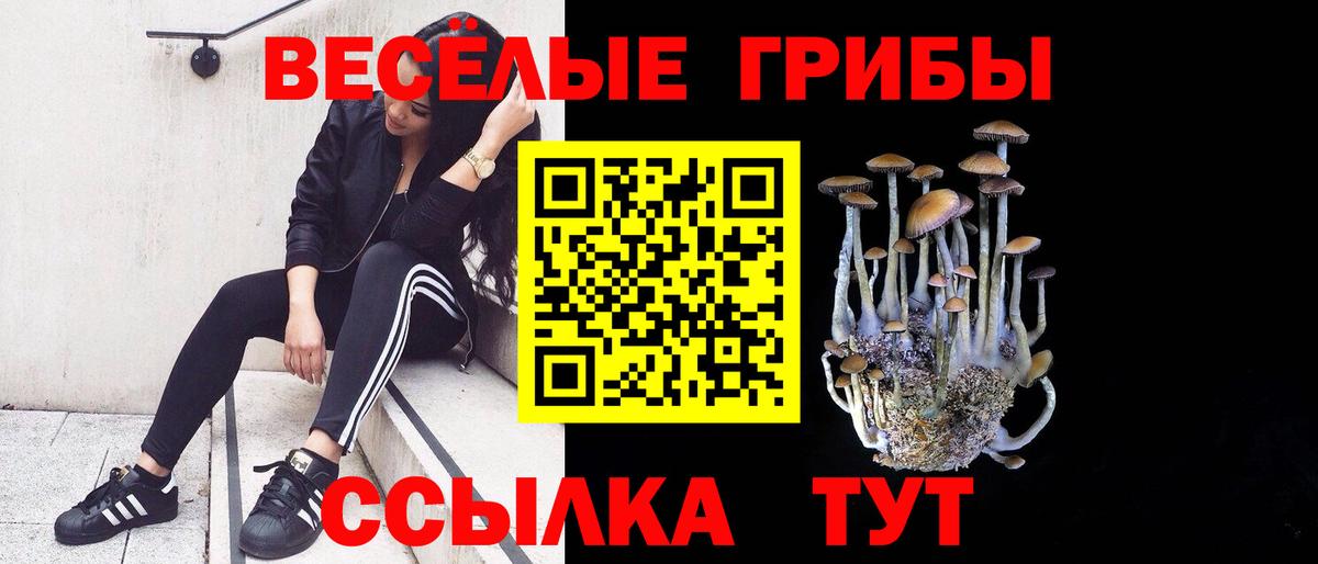 Великий Новгород  где можно купить наркотик  Вход с VPN  Галлюциногенные грибы Magic Shrooms  Галлюциногенные грибы мухоморы 